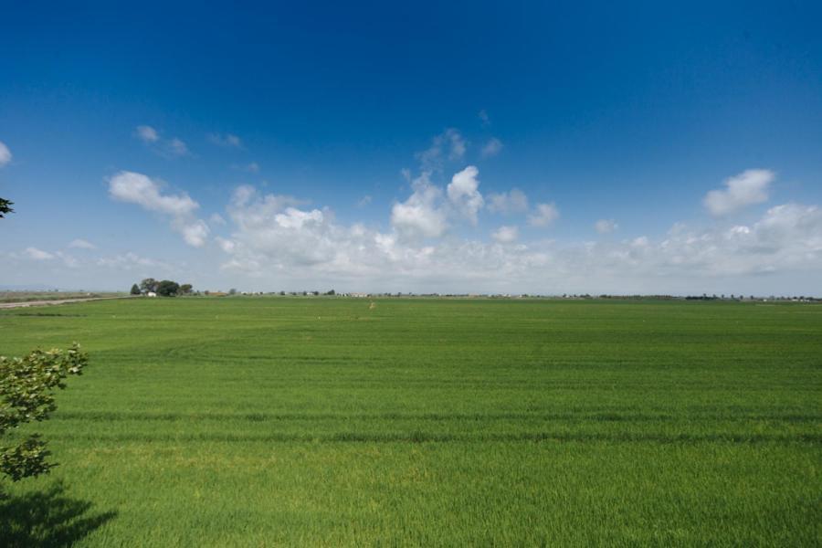 Salicornia Apartament L'Eucaliptus Dış mekan fotoğraf